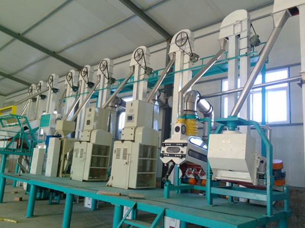 50-ton rice complete equipment