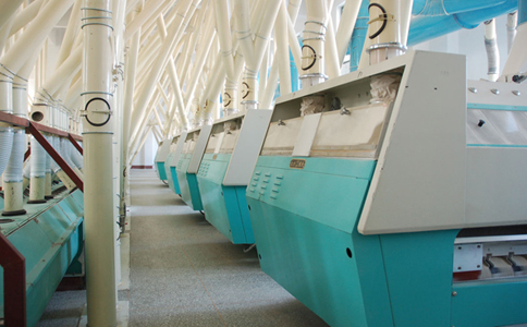 300-ton flour processing complete equipment