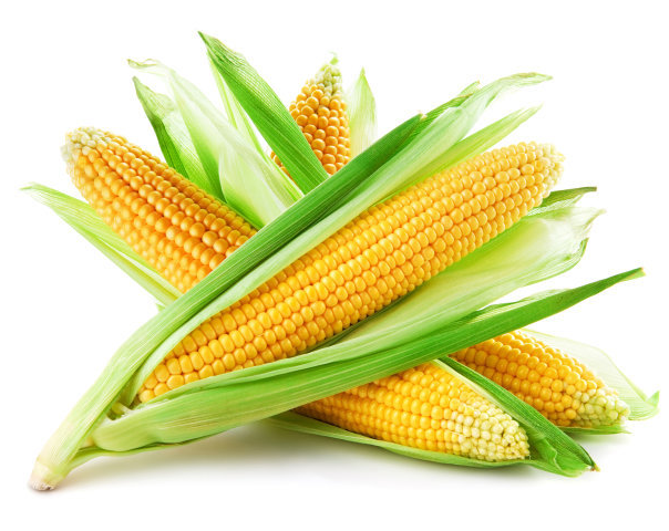 corn