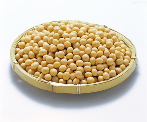 Soybean oil press
