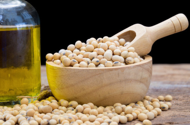 soybean seeds