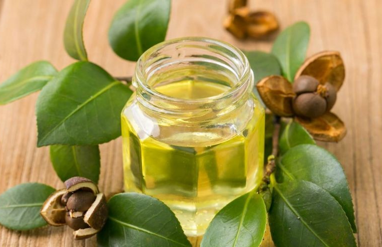 Camellia seed oil