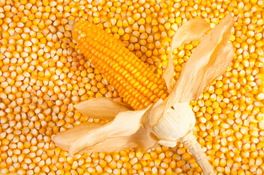 corn