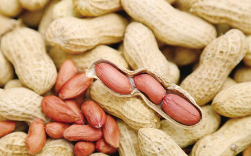 Peanuts