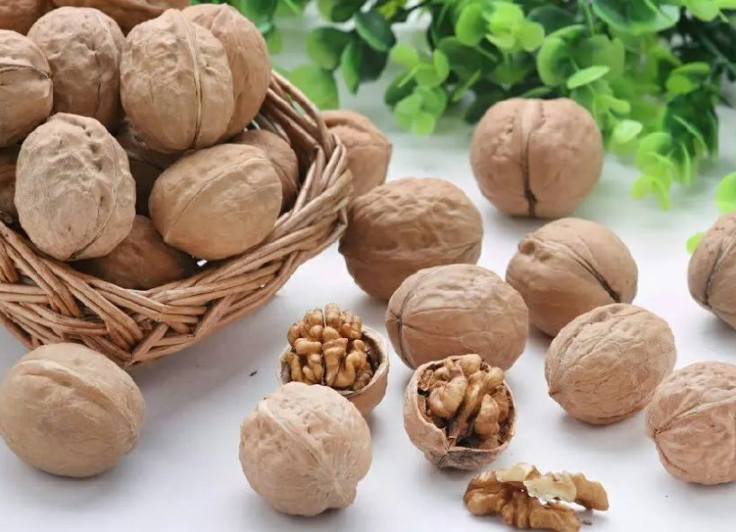 Walnut