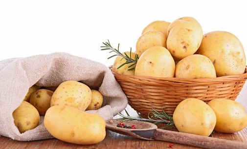 Potato