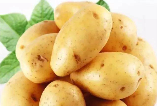 Potato