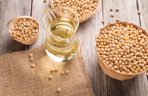 Soybean