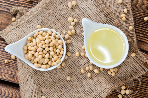 Soybean