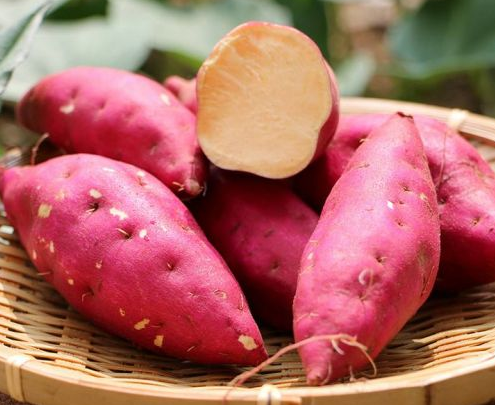 sweet potato