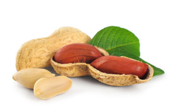 peanut
