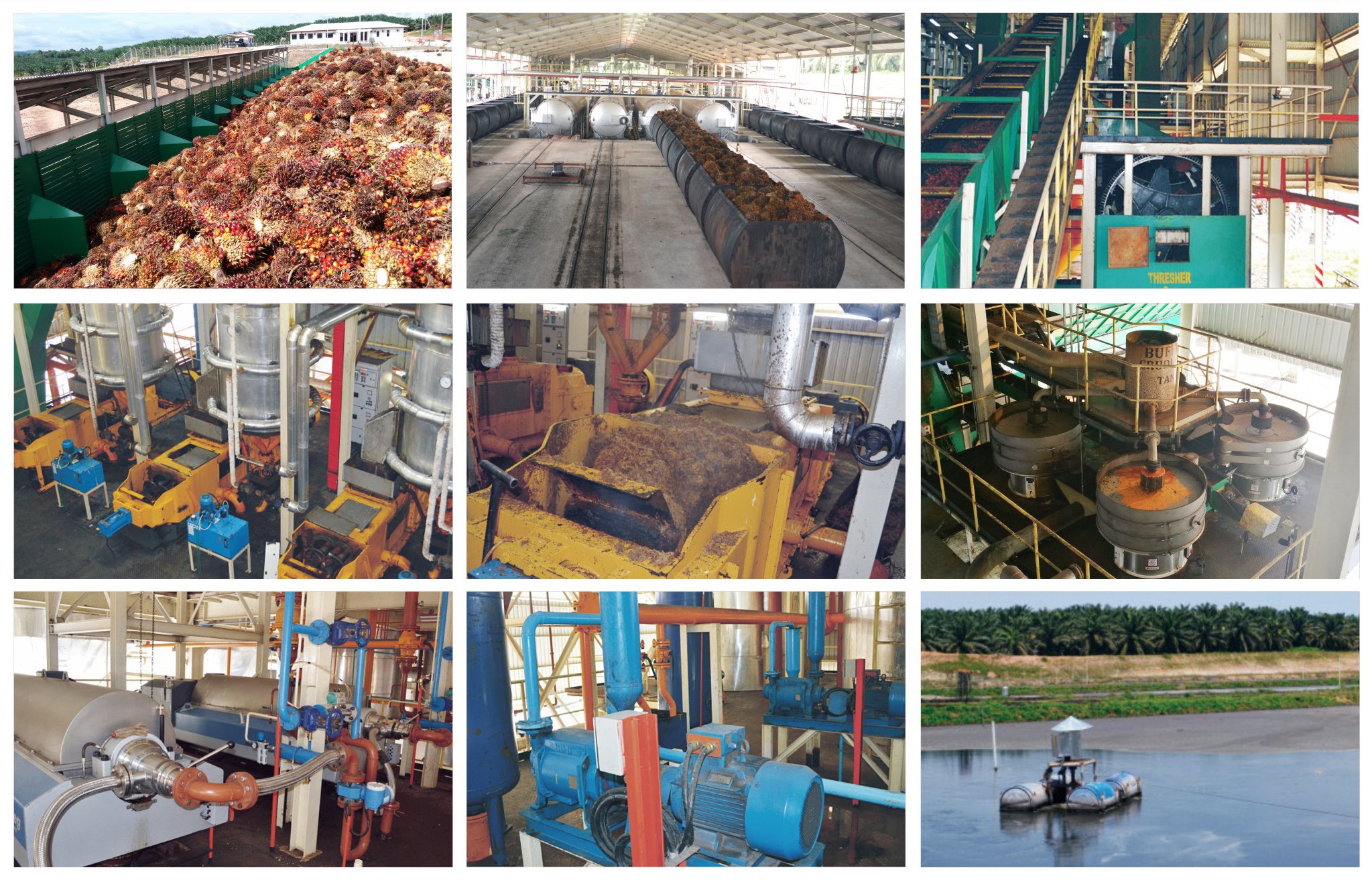 palm oil processing plants