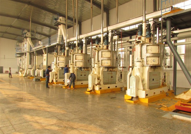 Palm kernel oil press
