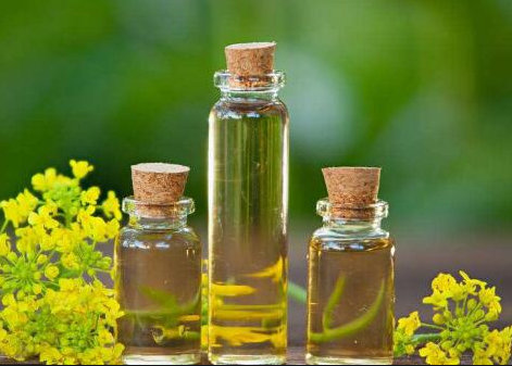 rapeseed oil