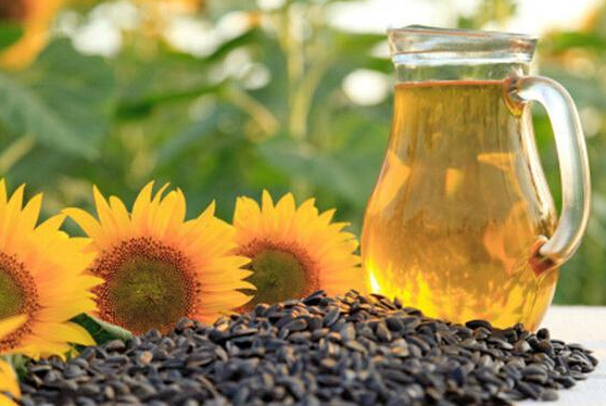 Sunflower oil