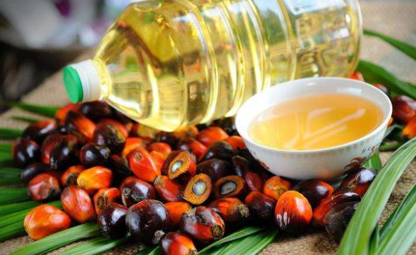 Palm oil