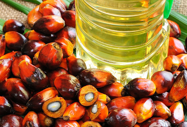 Palm oil