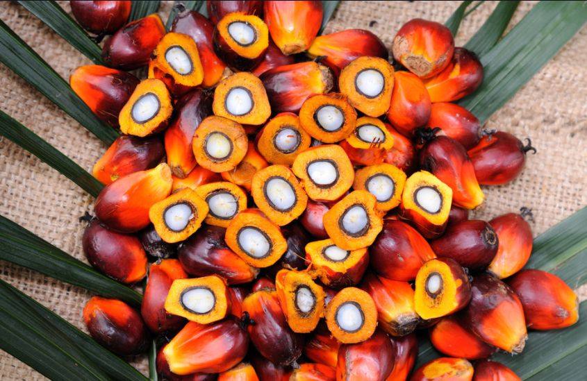 Palm fruit