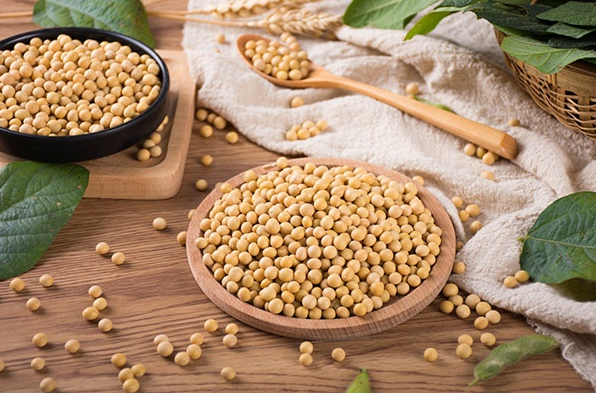 Soybean