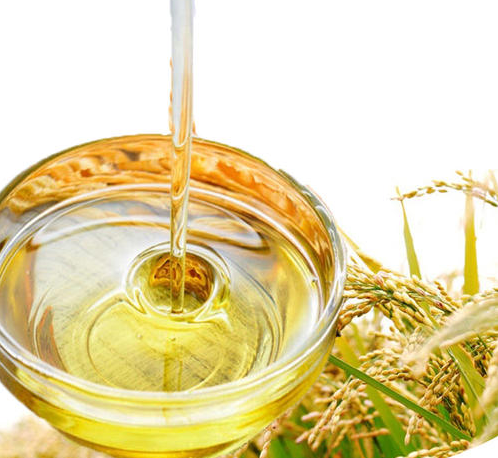 Rice bran oil equipment