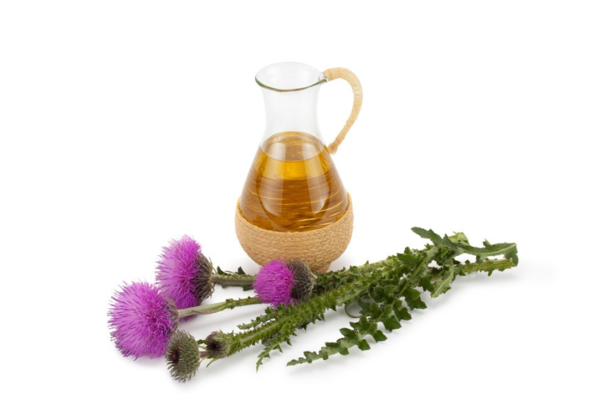 Silybum marianum seed oil