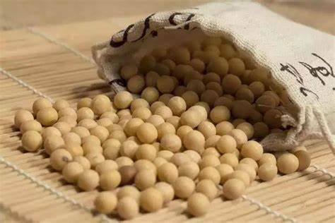 soybean leaching equipment