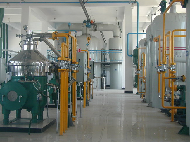 animal oil refining equipment