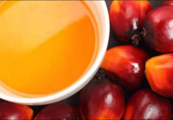 palm kernel oil