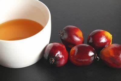 Small palm oil refining equipment operation process