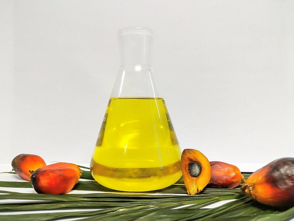 palm oil refining equipment