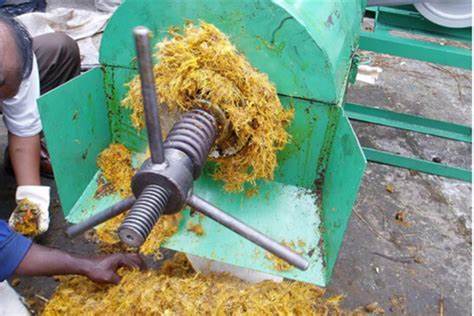 palm oil press