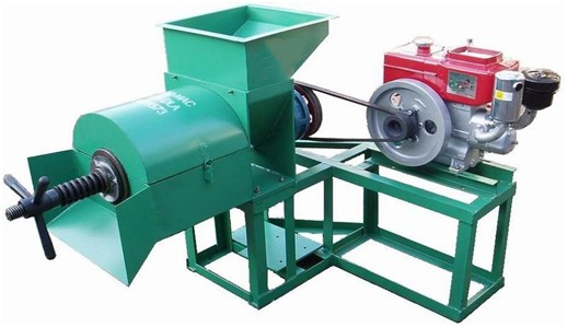 small palm oil press