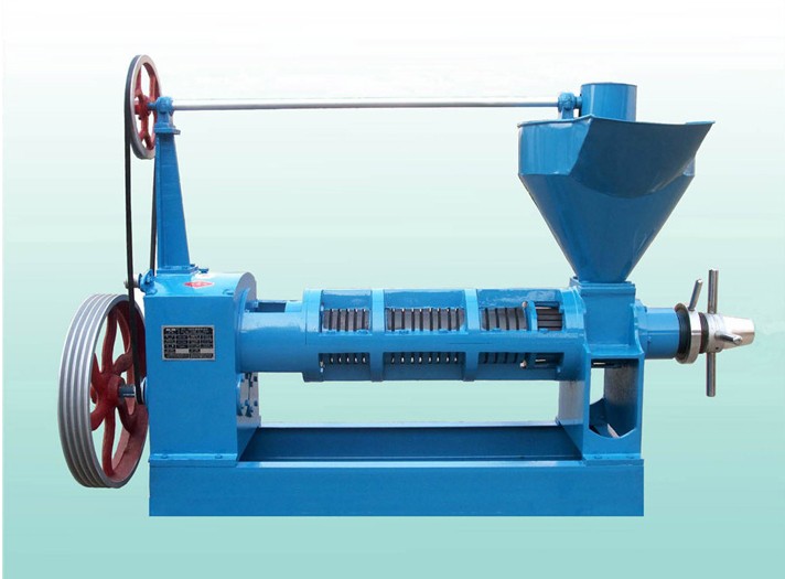 screw oil press