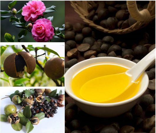 Tea seed oil