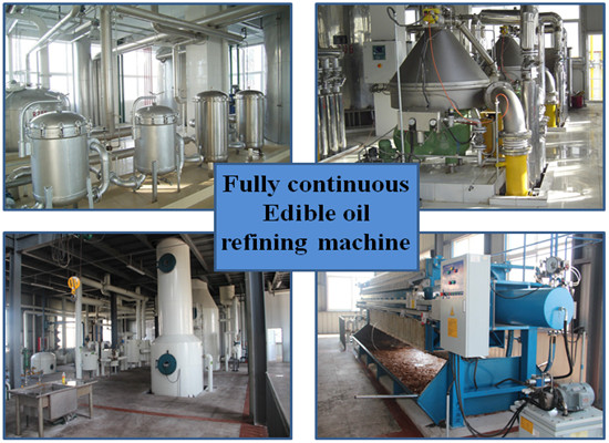 palm oil
