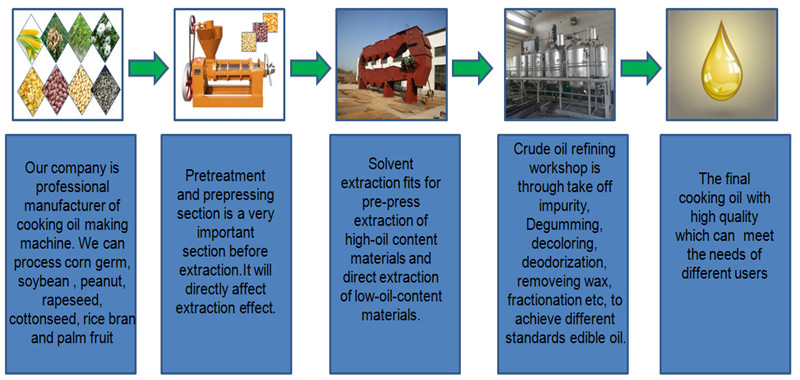  palm oil