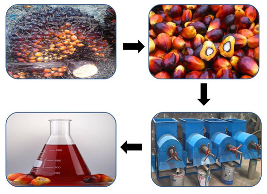 palm oil