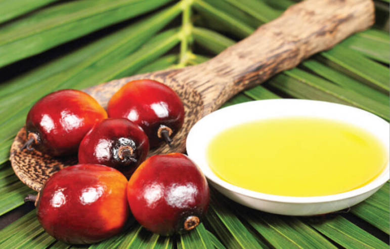 palm oil