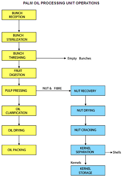palm oil