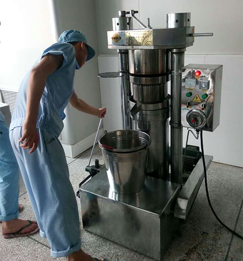 Hydraulic oil press