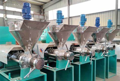 screw oil press