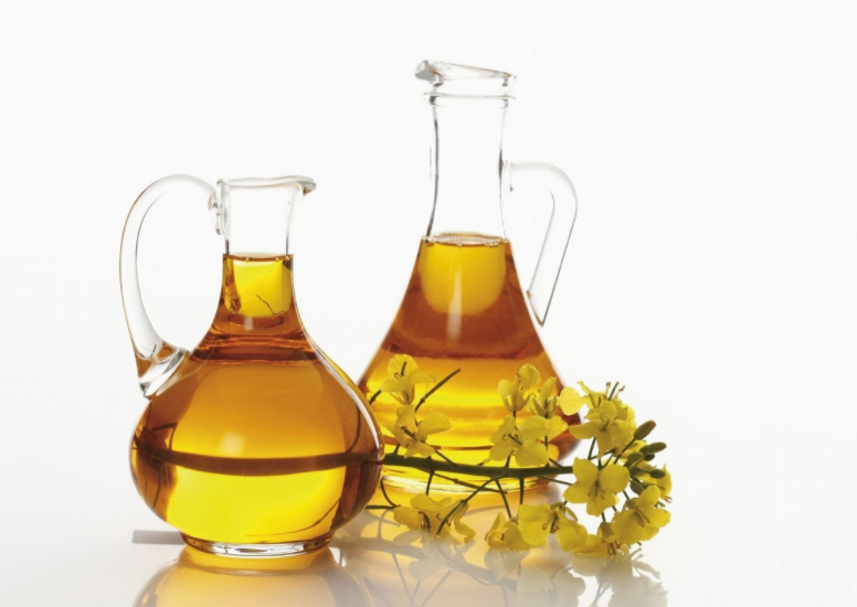 Rapeseed oil extraction workshop