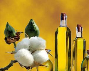 cottonseed oil