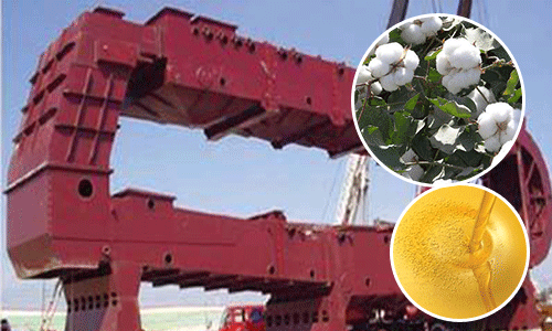 Production of cottonseed oil by leaching method
