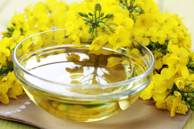 rapeseed oil