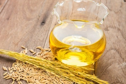 rice bran oil