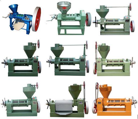 screw oil press