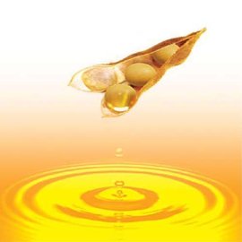 soybean oil press