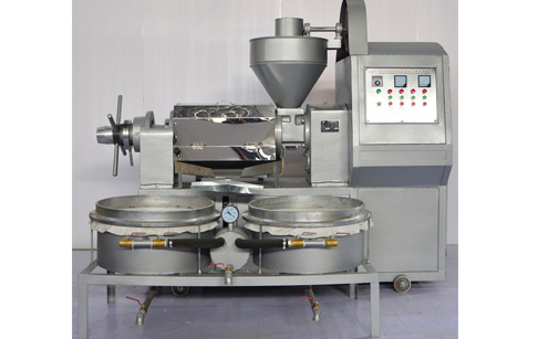 tea seed oil press